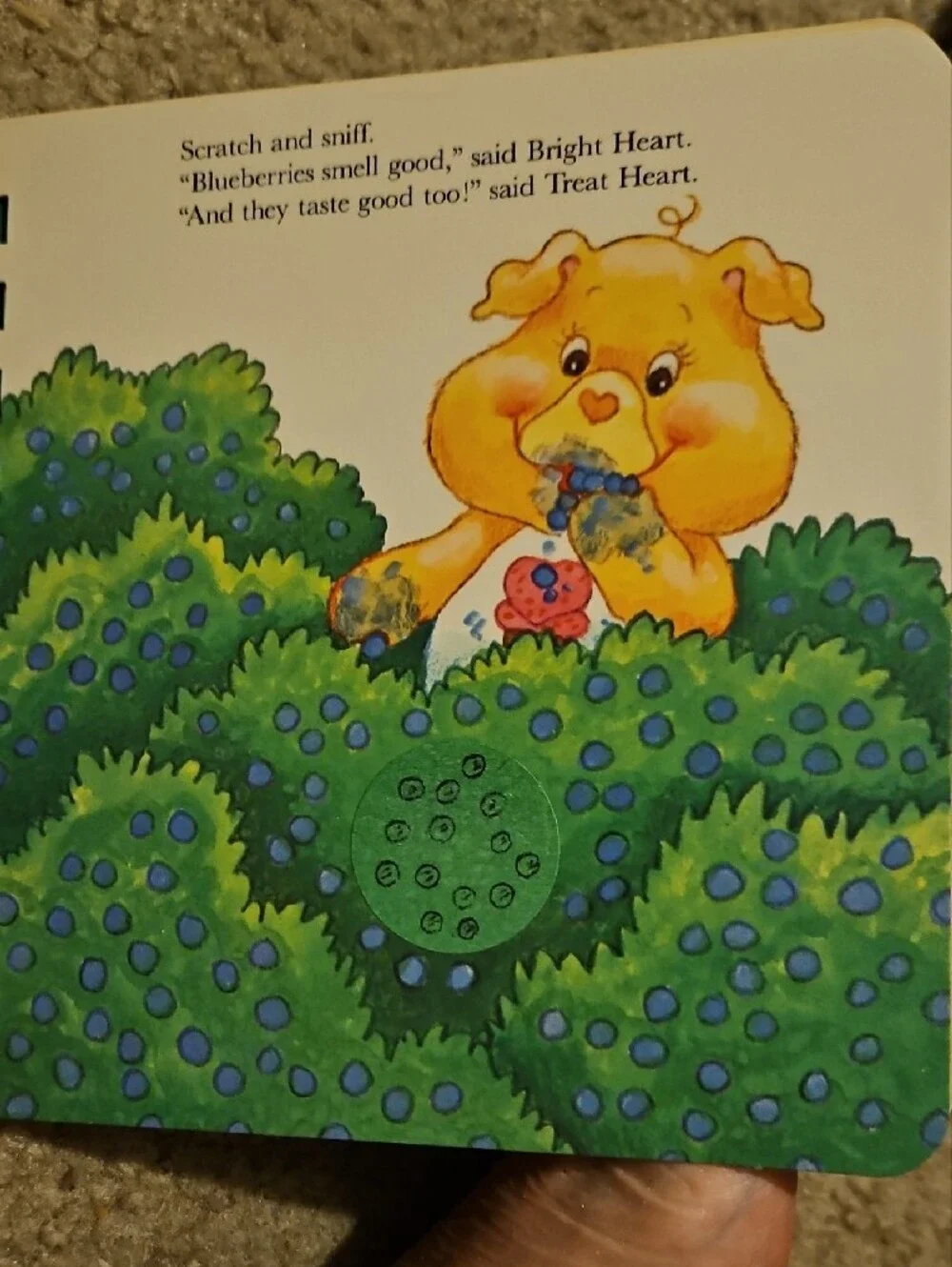 The Care Bear Cousins Visit The Woods Cardboard Childrens Book Vintage 1985